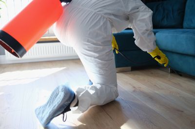 Fumigation Service in Gwinnett County, GA